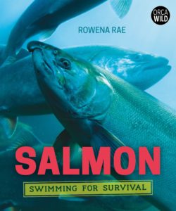 Cover of Salmon: Swimming for Survival